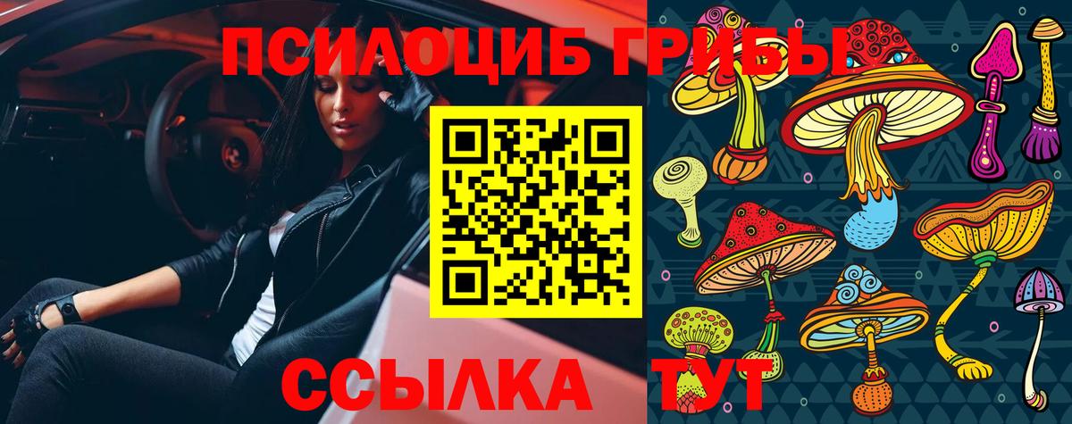 Нижний Новгород  Галлюциногенные грибы Psilocybine cubensis  Вход с VPN 