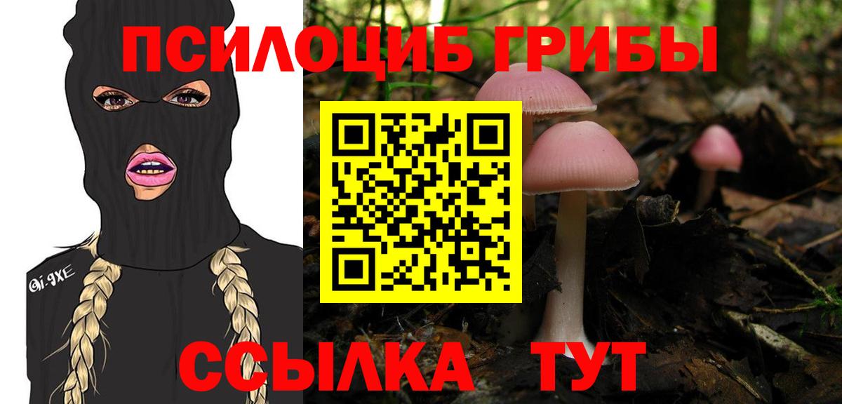 Галлюциногенные грибы Psilocybine cubensis Нижний Новгород